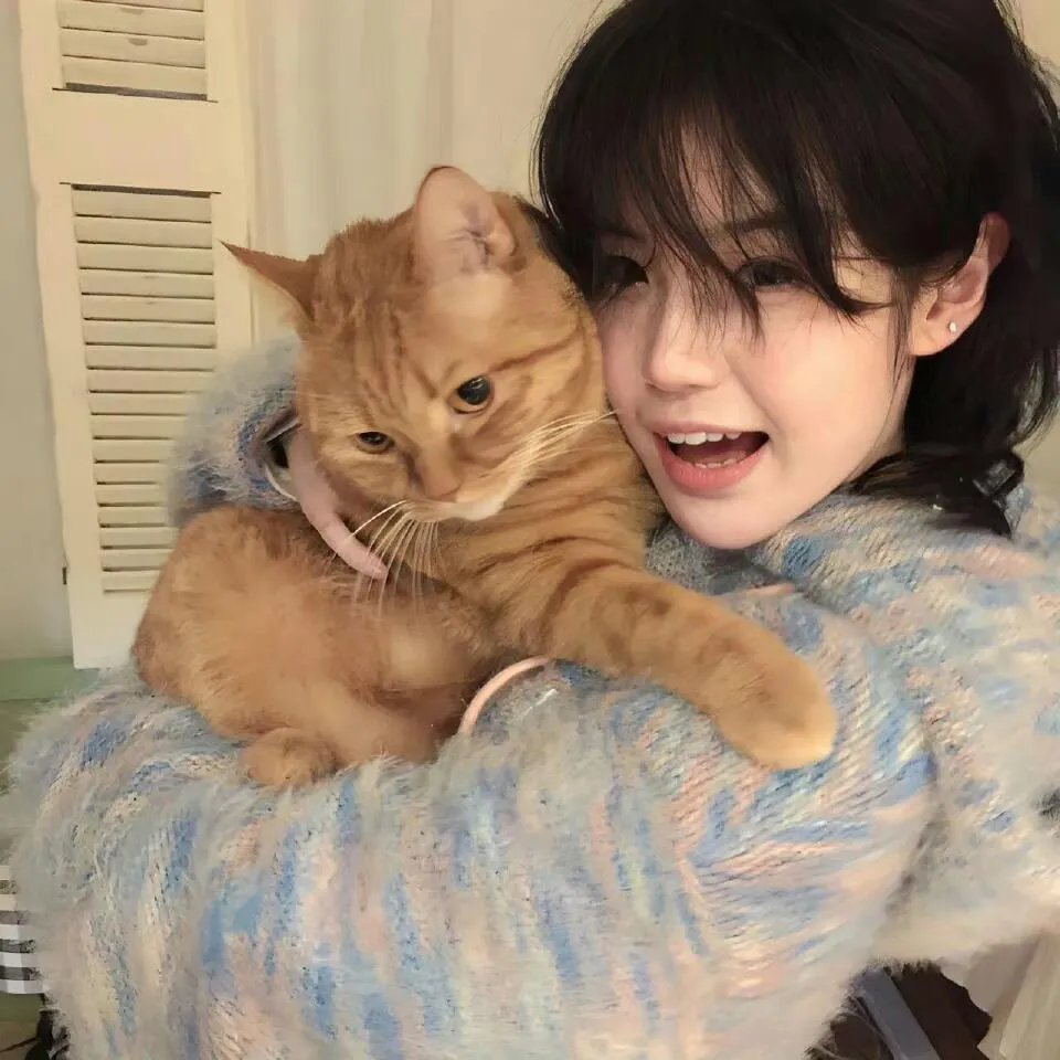 破坏不在场证明